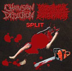 Chainsaw Dissection : Split